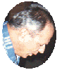 Lee