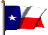 Texas Government Information