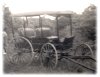 Rubber Tire Buggy
